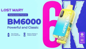 lost mary bm6000 prefilled pod kit